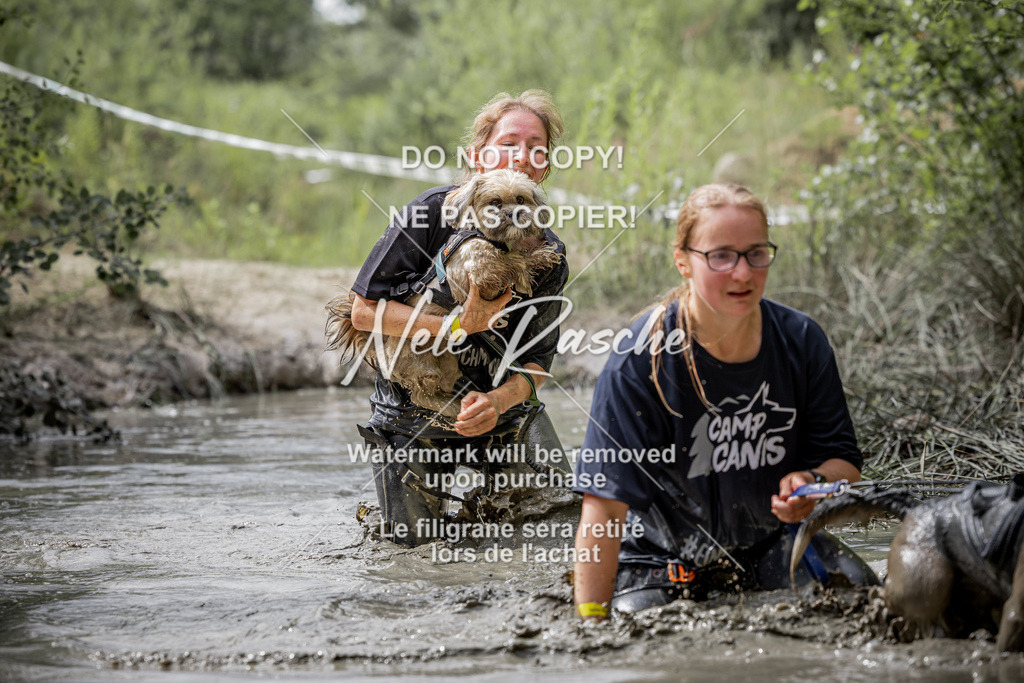 nelerasche_so1030-1100_67 | nelerasche