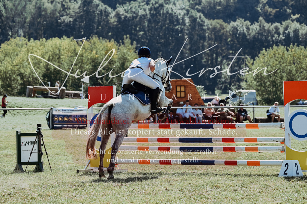 DSC_6107 | Pferde- und Turnierfotografie in Westsachsen. Pferdeportraits, Auftragszeichnungen und intuitive Kunst.