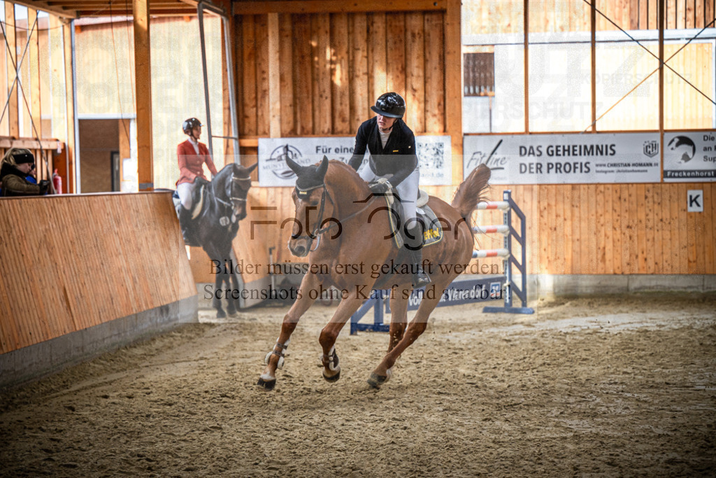 DOS_2048 | Entdecke hochwertige Reitturnierfotos von Foto Oger. Professionell, emotional und authentisch – jetzt Lieblingsmomente im Shop bestellen.Deutschlandweite Turnierfotografie. - Realisiert mit Pictrs.com