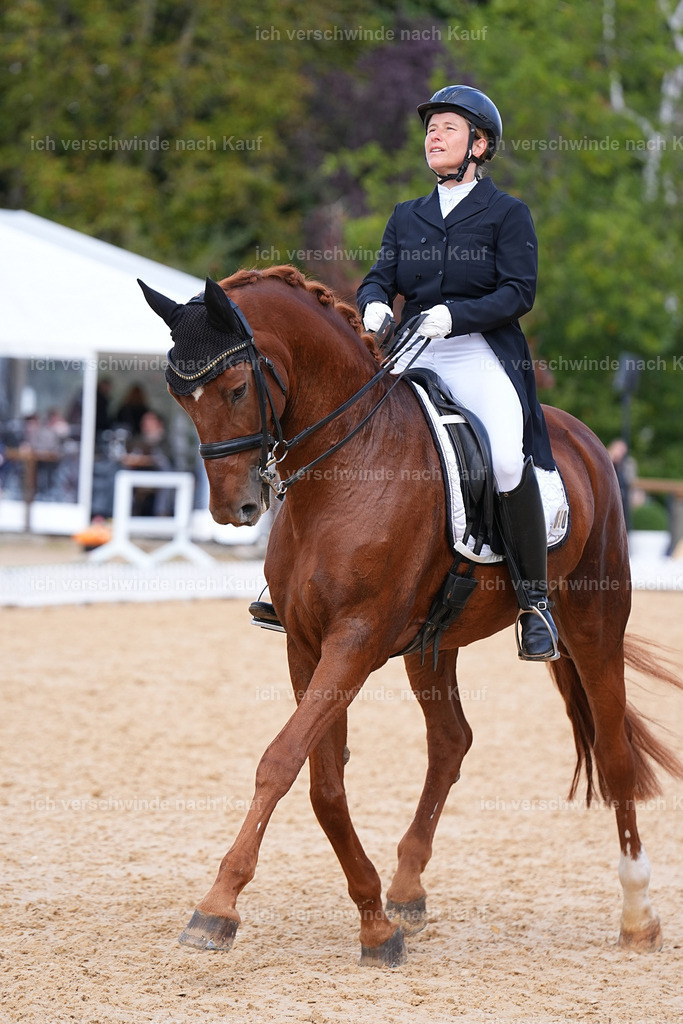 09_2-090-DRESSUR  S_  -Marixx-5966 | working equitationturnier fotograf videograf stoibphotography marixx film working equitation deutschland reitsport turnierfotografie eventfotografie equestrian events