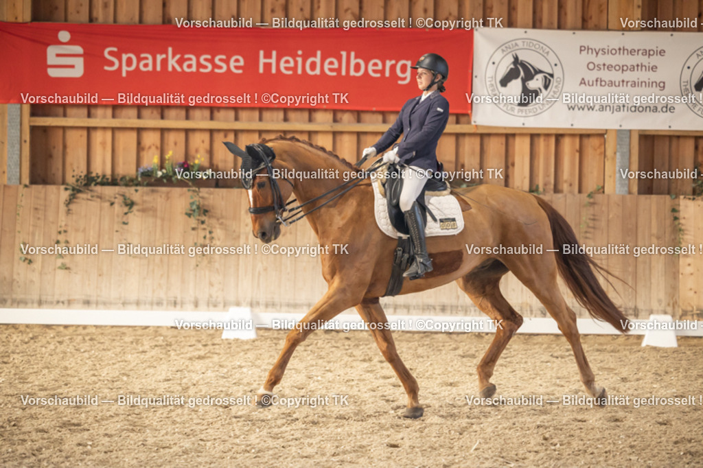 _D5A3258 | Emotionale Pferde- & People-Fotografie rund um Heidelberg, Leimen & Umgebung. Natürliche Fotos von Pferd, Mensch & Familie. Jetzt Termin sichern!