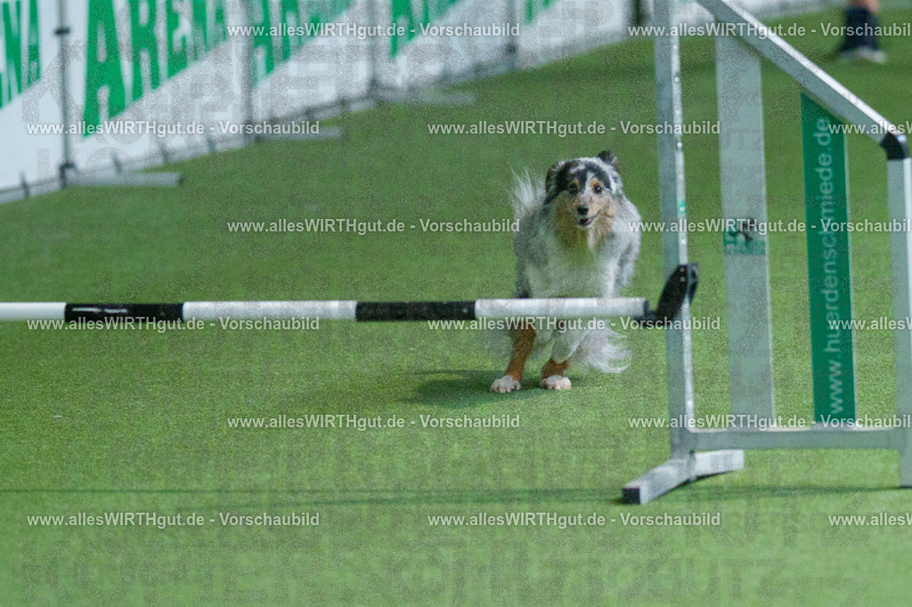 @allesWIRTHgut_Tierfotografie - www.allesWIRTHgut.de - 2604251556-7R506489 | Professionelle Tierfotografie in Mönchengladbach von Daniel Wirth (allesWIRTHgut). Liebevolle & natürliche Bilder von Hunden & Katzen für unvergessliche Erinnerungen.