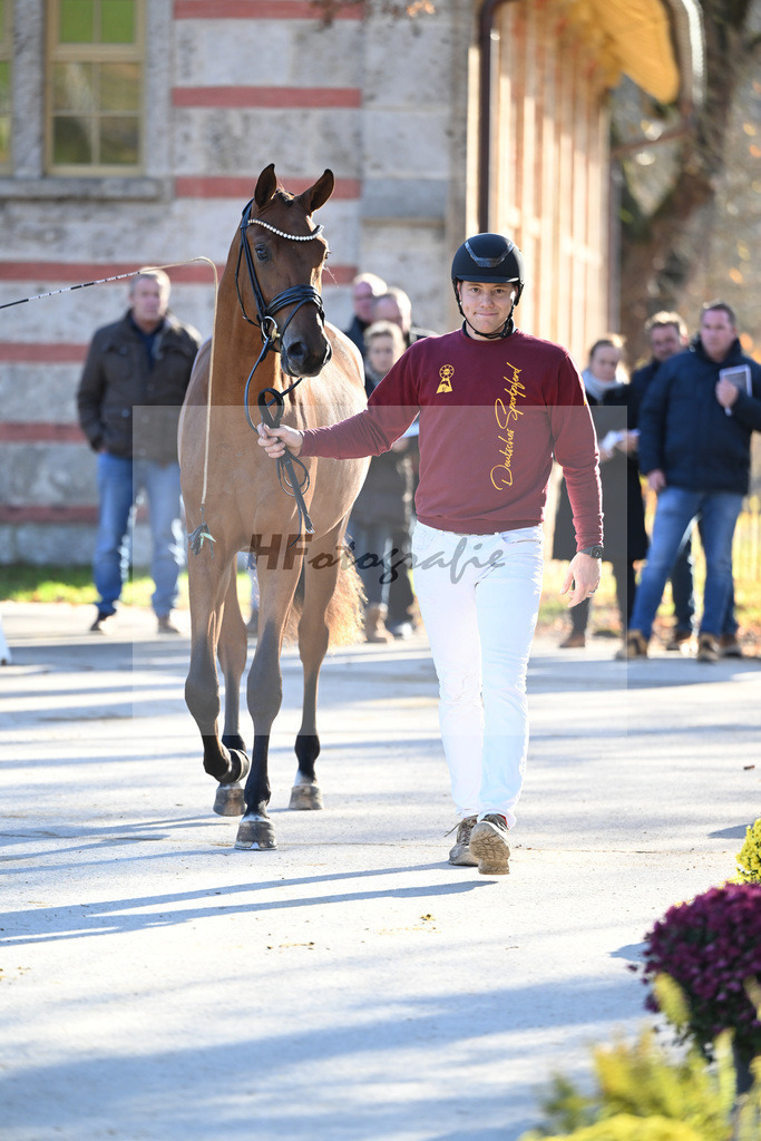 Kat-Nr. 20 Fanegro x Rotspon_Nicoel Mehrmann_47251022 | hf-fotografie - Realisiert mit Pictrs.com