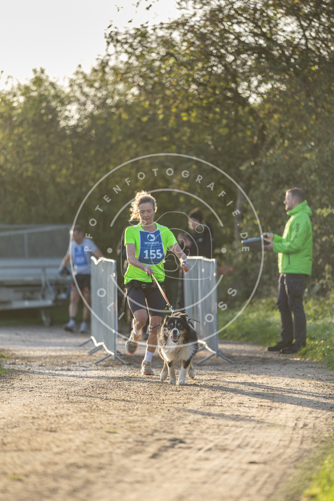 Pfotenfotografie.de_DV3A2624 | Hundefotografie, Tierfotograf, Pfotenfotografie, Fotoshooting Hund, Hunde Portrait, Hundesport, Hundeportraits, Heideshooting, Hunde, Sportfotograf, Hundefotograf, Turnierhundsport, THS, canicross - Realisiert mit Pictrs.com