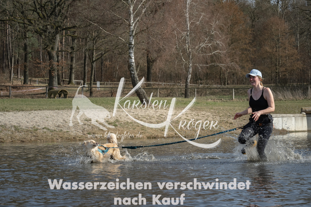 1306_ZZ94669 | kk-dogfotos