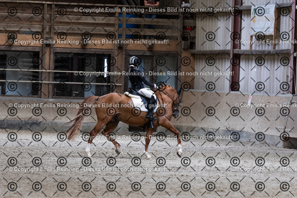 CL5A5217 | Emilia Reinking Fotografie - Realisiert mit Pictrs.com