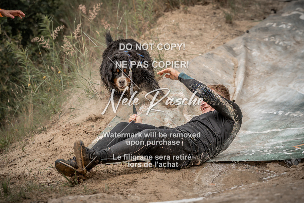 nelerasche_sa1200-1230_284 | nelerasche