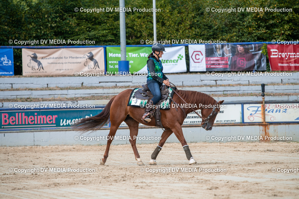 ZS3_9586 | dv-media-shop - Realisiert mit Pictrs.com