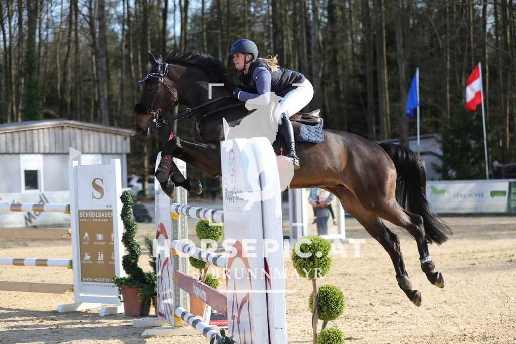 0P6A2902 | Willkommen bei Brunnmayr - Design & Fotografie – Ihrem Spezialisten für Reitturniere und Pferdeveranstaltungen in Oberösterreich, Salzburg und Bayern! Seit über 17 Jahren sind wir leidenschaftlich dabei.