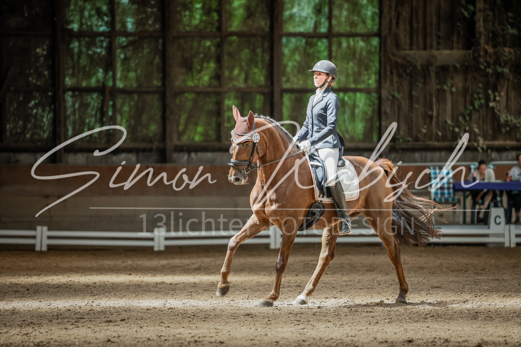 20250621-_3LI6955 | Tierfotografie Pferde, Hunde, Katzen, Haustiere.
Turnierfotografie Reitturniere, Reiten, Springreiten, Dressur in Hanau, dem Main-Kinzig-Kreis und dem Rhein-Main- Gebiet um Frankfurt