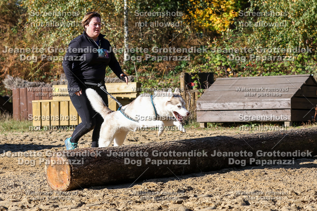 Dog Paparazzi - Strongdog 10-25-2457 | Dog Paparazzi Jeanette Grottendiek Fotografie & Videografie - Realisiert mit Pictrs.com