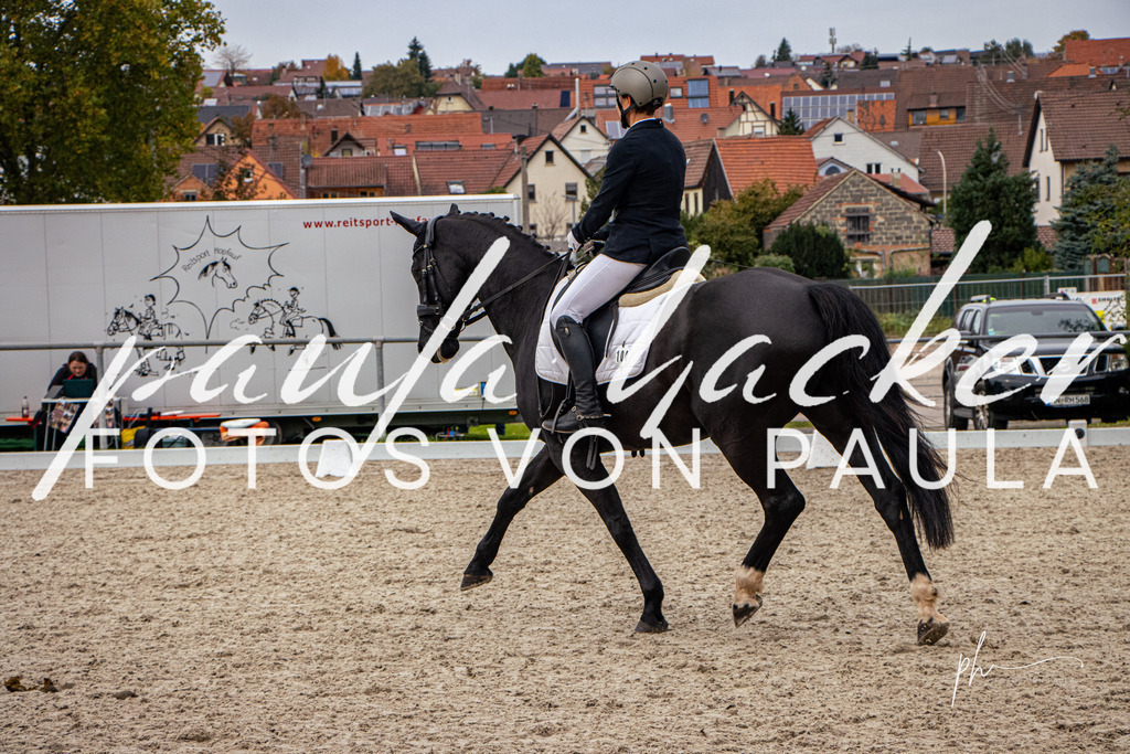 IMG_1636 | Erleben Sie dynamische Sport- und emotionale Tierfotografie in Süddeutschland mit Fotos von Paula. Spezialisiert auf Pferde- und Hundefotografie sowie Sportevents. Kontaktieren Sie mich für einzigartige und ausdrucksstarke Bilder Ihrer besonderen Momente. - Realisiert mit Pictrs.com