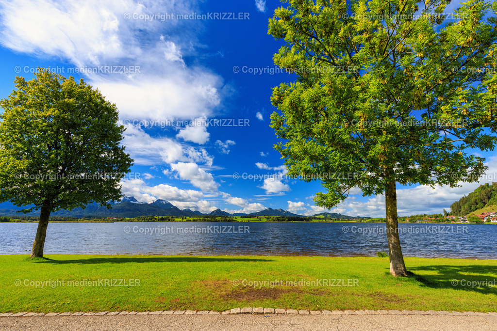 Hopfensee | medienkrizzler - Realisiert mit Pictrs.com