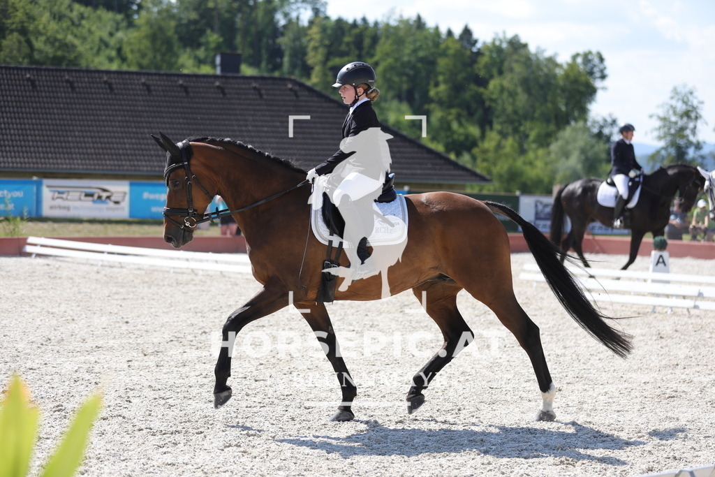 0P6A7688 | Willkommen bei Brunnmayr - Design & Fotografie – Ihrem Spezialisten für Reitturniere und Pferdeveranstaltungen in Oberösterreich, Salzburg und Bayern! Seit über 17 Jahren sind wir leidenschaftlich dabei.