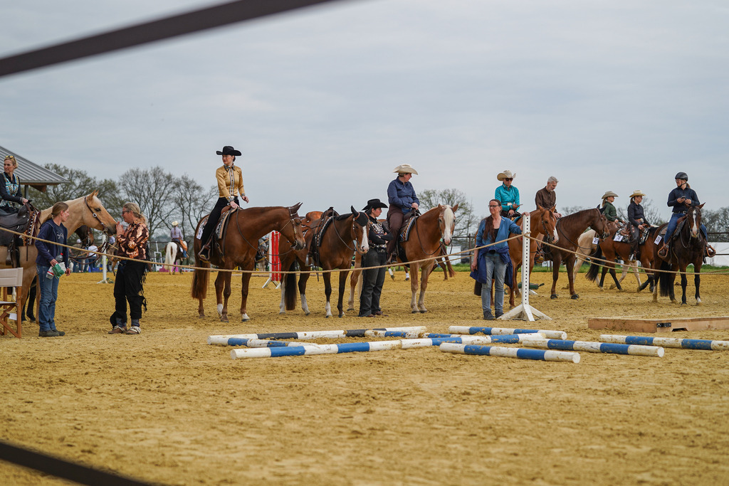 DSC02346 | Pferdegrafie