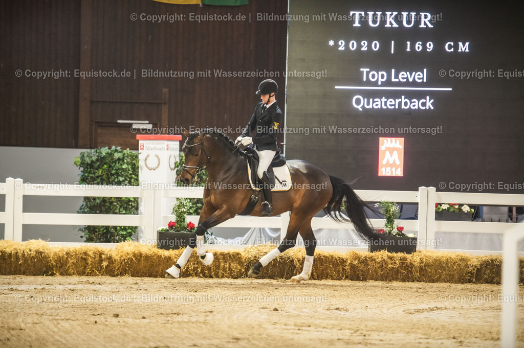 20240302_Hengstvorstellung_Marbach_TOMsPiC_0140-2 | equistock