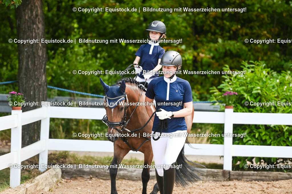 20230716_11_Führzügel-WB_0196 | equistock
