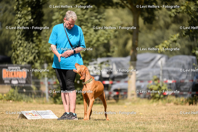 _DSC6312 | levihelfersfotografie