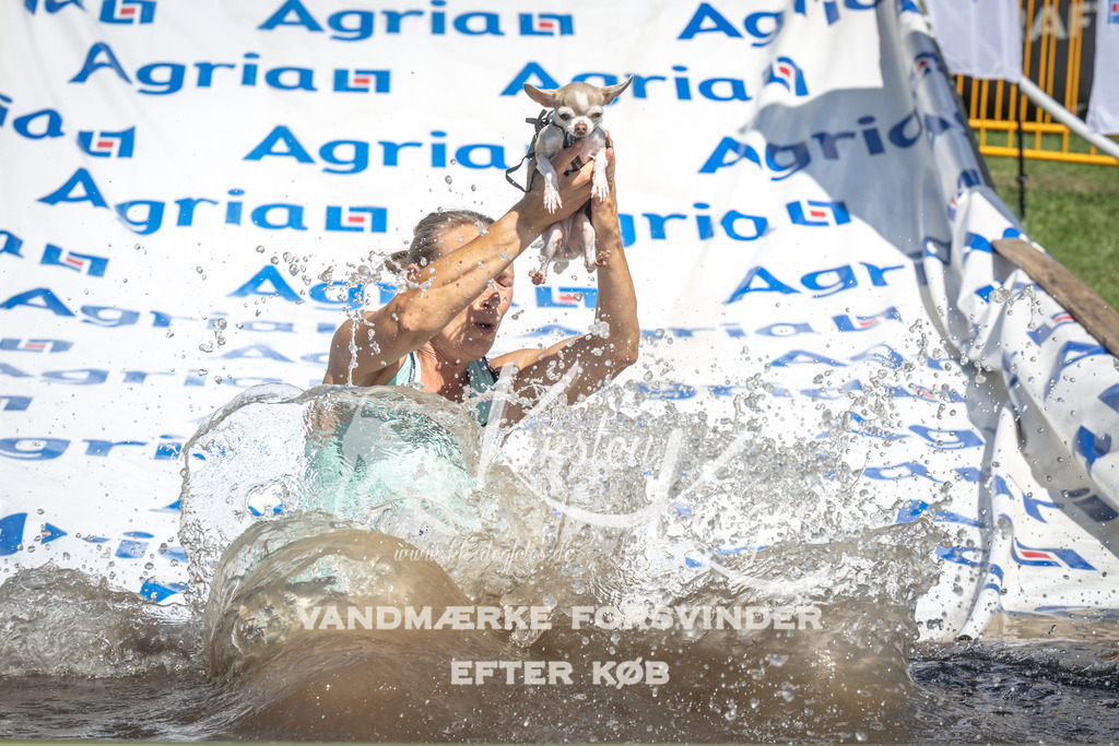 1401_ZZ92282 | kk-dogfotos