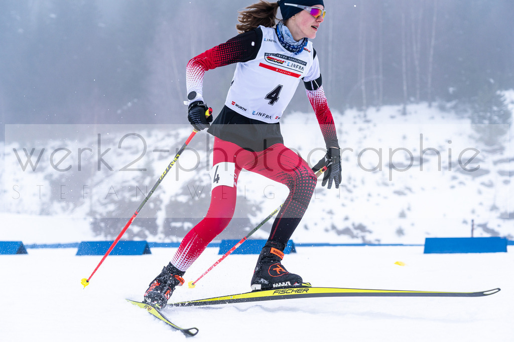 DSC Arber | Bayerischer Wald am 15. und 16. Januar 2022