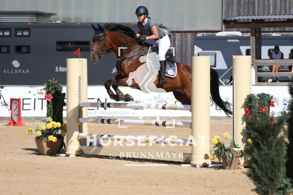 DL2Q0299 | Willkommen bei Brunnmayr - Design & Fotografie – Ihrem Spezialisten für Reitturniere und Pferdeveranstaltungen in Oberösterreich, Salzburg und Bayern! Seit über 17 Jahren sind wir leidenschaftlich dabei.