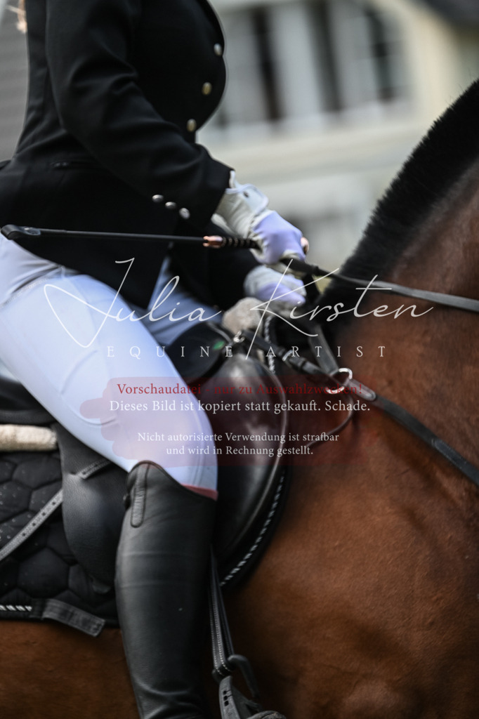 DSC_8661 | Pferde- und Turnierfotografie in Westsachsen. Pferdeportraits, Auftragszeichnungen und intuitive Kunst.
