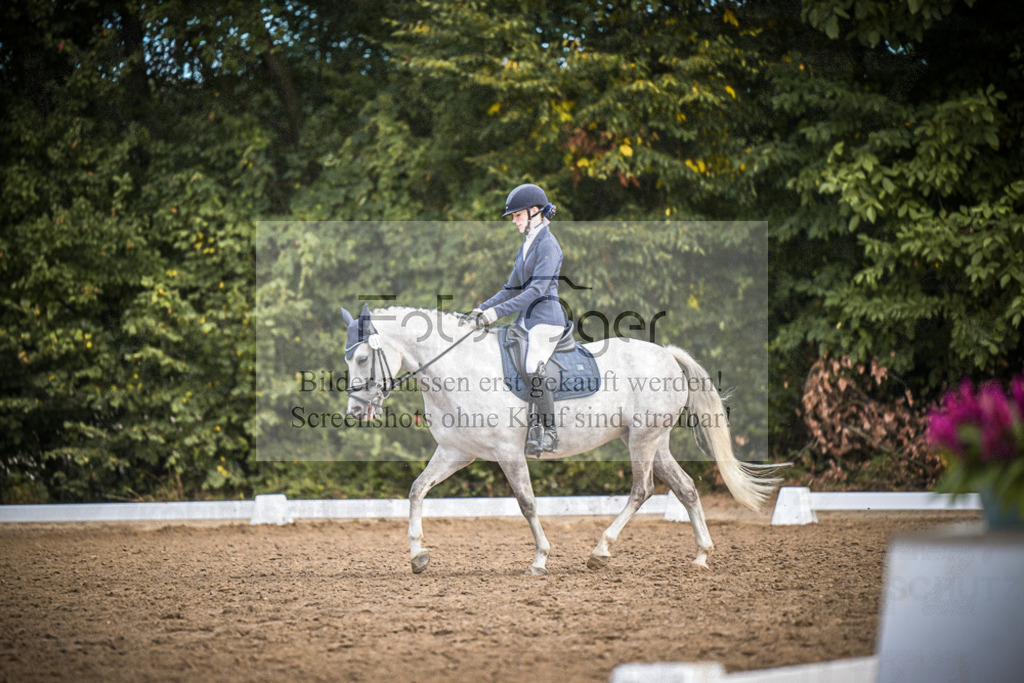 DOS_2279 | Entdecke hochwertige Reitturnierfotos von Foto Oger. Professionell, emotional und authentisch – jetzt Lieblingsmomente im Shop bestellen.Deutschlandweite Turnierfotografie. - Realisiert mit Pictrs.com