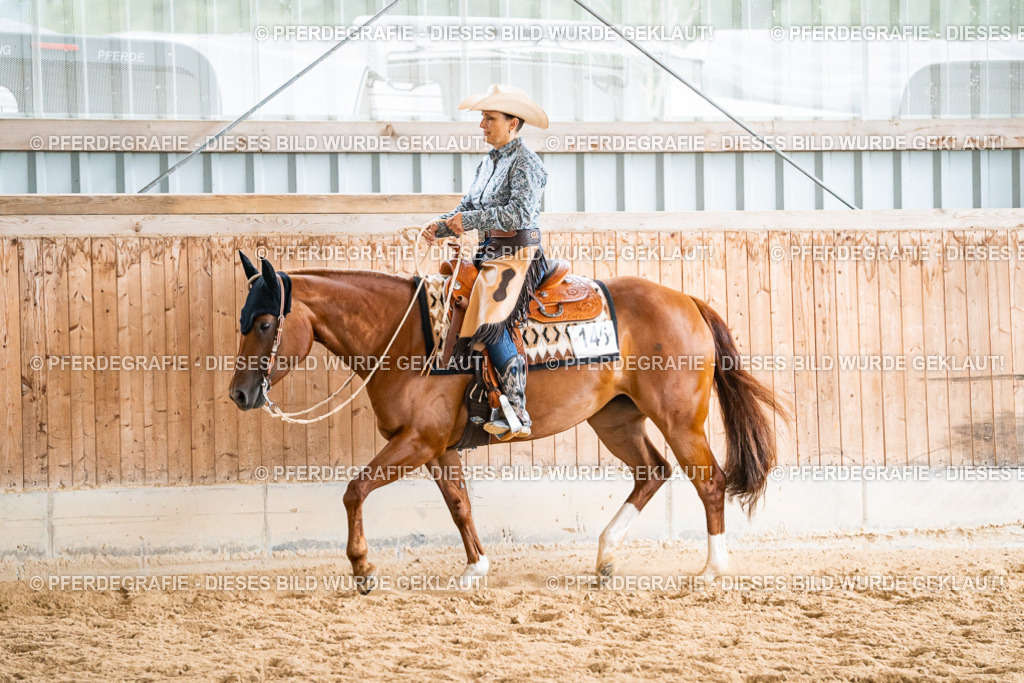 DSC00586 | Pferdegrafie