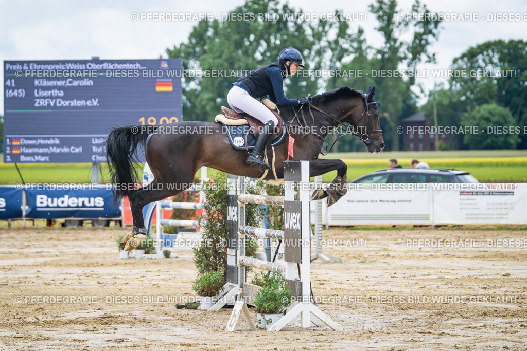 DSC04606 | Pferdegrafie