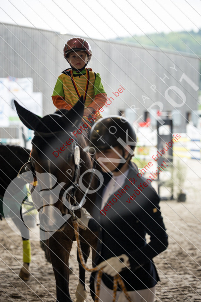 IMG_2049 | Sport-, Event- und Tierfotos in Profiqualität. Einfach auswählen, bestellen und herunterladen. Dein Moment – perfekt festgehalten.