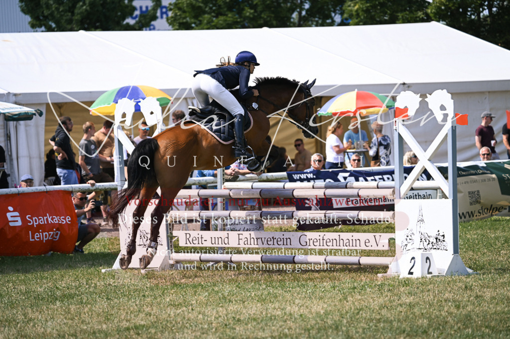 DSC_0310 | Pferde- und Turnierfotografie in Westsachsen. Pferdeportraits, Auftragszeichnungen und intuitive Kunst.