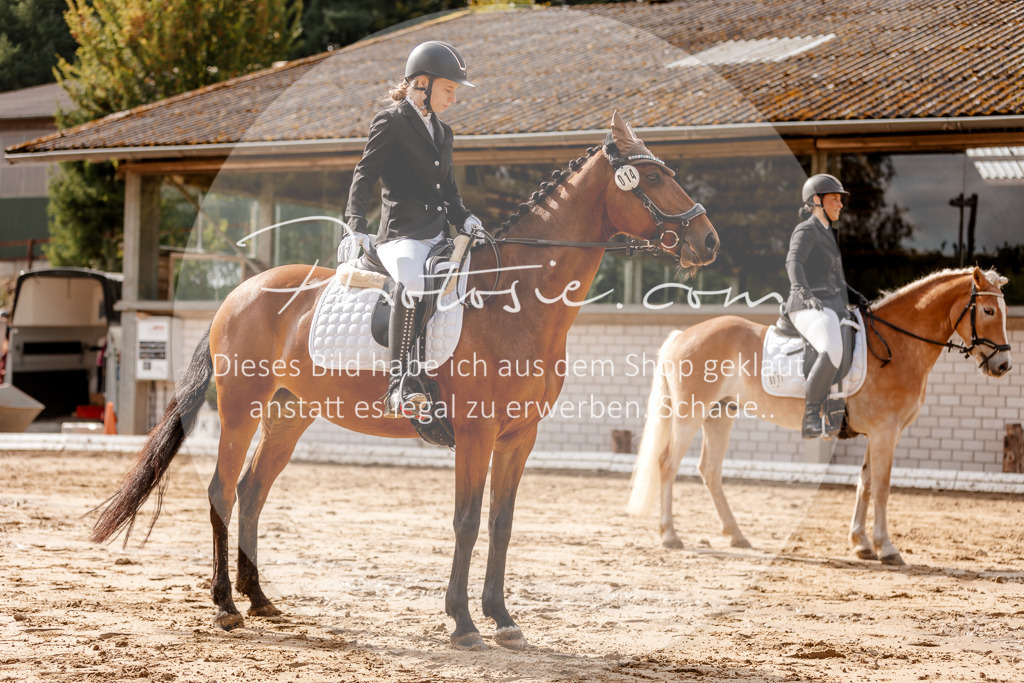 3I6A7037 | Stimmungsvolle Portraits und Reitsportfotografie im Ruhrgebiet und im Münsterland.

Pferdefotografie, Hundefotografie, Tierfotografie, Reportagen, Portraits von Tier und Mensch, Turnierfotografie in Bochum, Recklinghausen, Marl, Haltern am See, Dülmen.. - Realisiert mit Pictrs.com