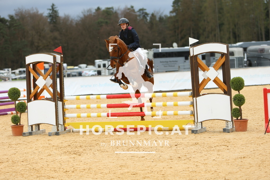 DL2Q1667 | Willkommen bei Brunnmayr - Design & Fotografie – Ihrem Spezialisten für Reitturniere und Pferdeveranstaltungen in Oberösterreich, Salzburg und Bayern! Seit über 17 Jahren sind wir leidenschaftlich dabei.