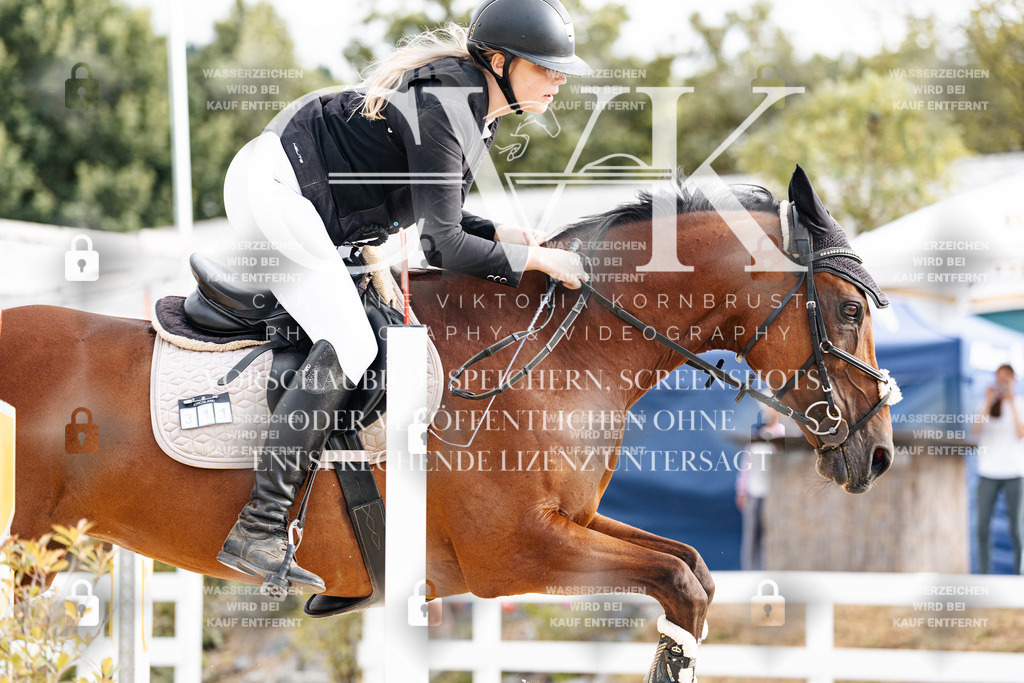 CK903016 | Turnierfotografie Pferdefotografie Trier Rheinland-Pfalz Pferdesport Reitsport Tierfotografie Sportfotografie Pferdevideo Pferdevideografie Equestrianvideography equestrianphotography  - Realisiert mit Pictrs.com