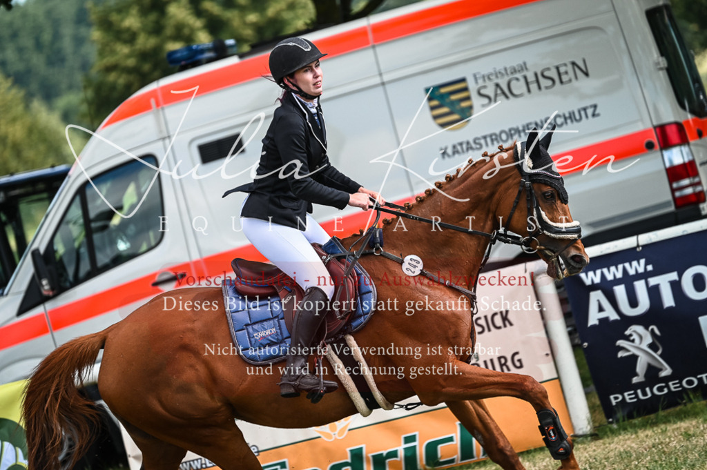 DSC_7843 | Pferde- und Turnierfotografie in Westsachsen. Pferdeportraits, Auftragszeichnungen und intuitive Kunst.