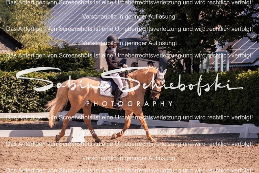 2025_05_31_DSCF3036 | People- und Tierfotografie, Imageaufnahmen, Veranstaltungsfotografie und Wandbilder aus der Natur ★ Made in Germany ✔️ Druck + Downloads ✔️ Naturfotografie in Top Qualität ★ schneller Versand, weltweite Lieferung! - Realisiert mit Pictrs.com