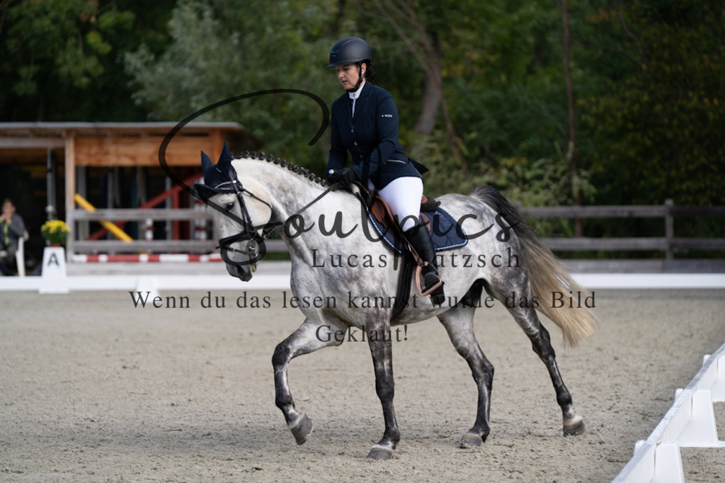 A7V06840 | Turnier/Reitfotograf