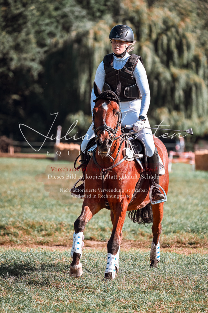 DSC_0630 | Pferde- und Turnierfotografie in Westsachsen. Pferdeportraits, Auftragszeichnungen und intuitive Kunst.