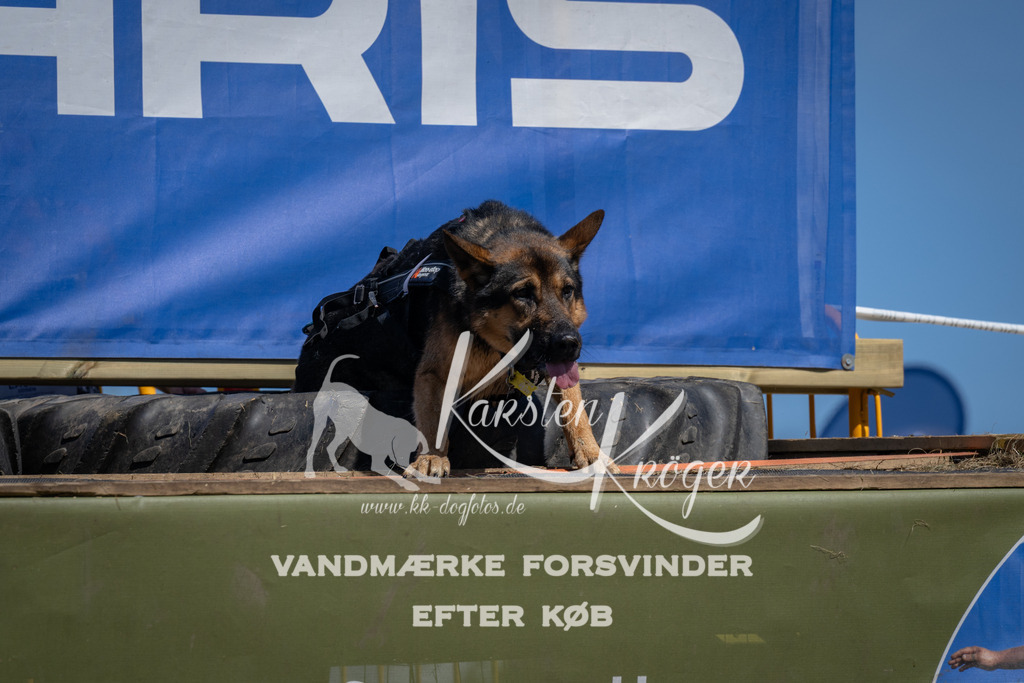 1252_ZZ97011 | kk-dogfotos