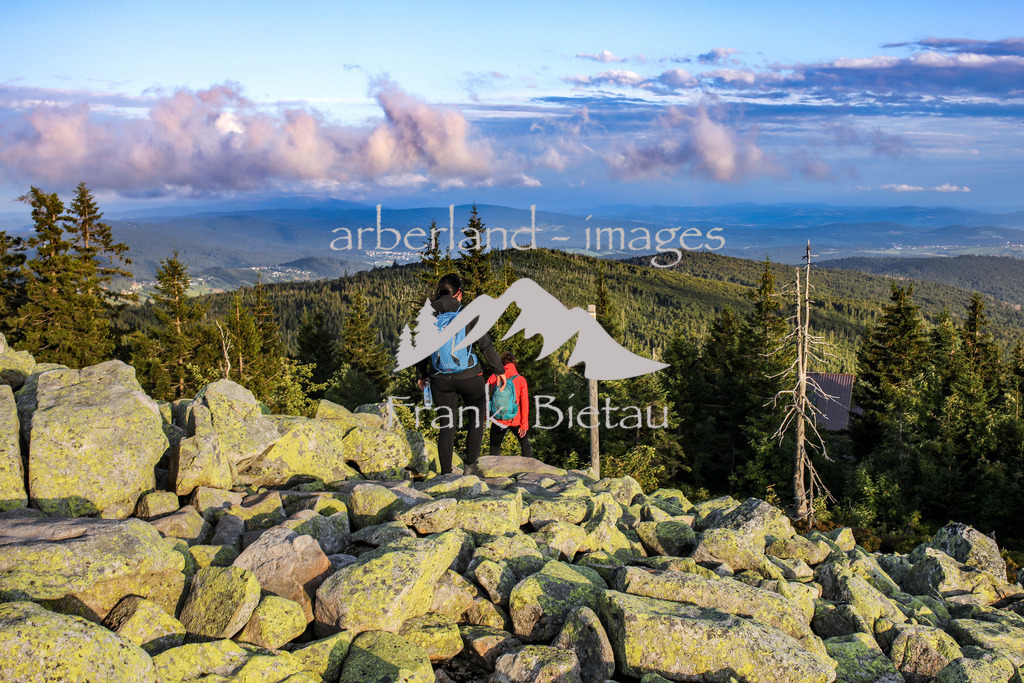 OE7A2098 | der Lusen, Ziel zahlreicher Wanderer