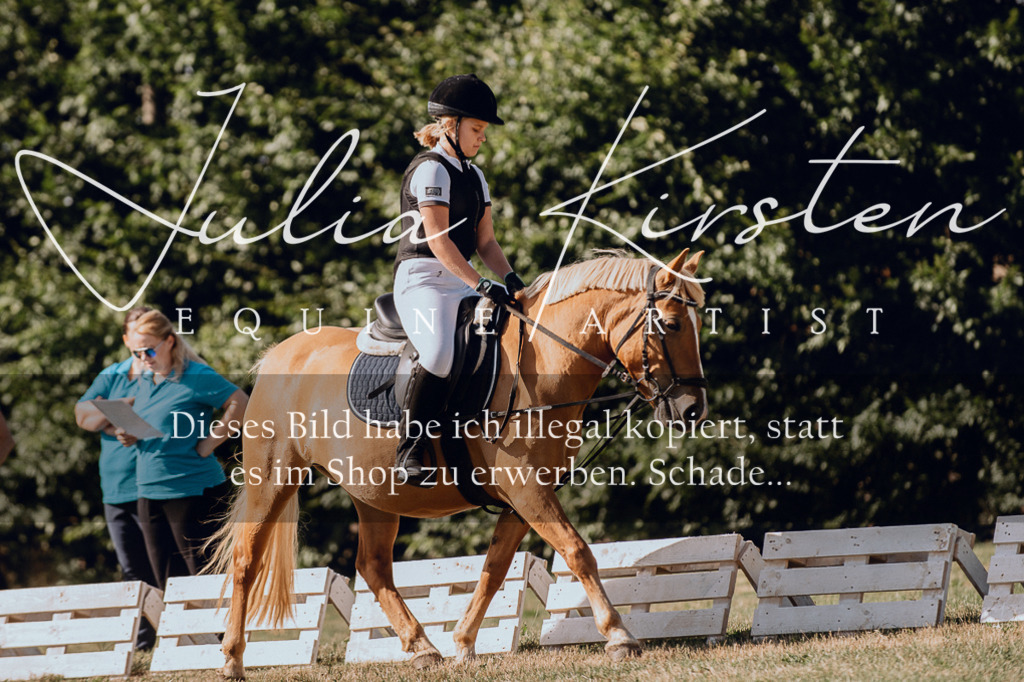 DSC_7037 | Pferde- und Turnierfotografie in Westsachsen. Pferdeportraits, Auftragszeichnungen und intuitive Kunst.