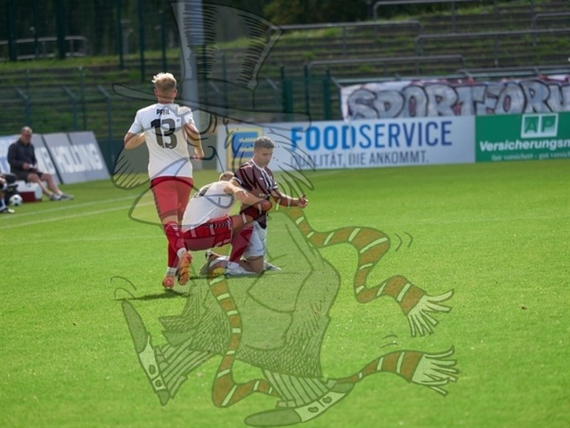 BFC Dynamo vs. ZFC Meuselwitz 150 | mythos-online-redaktion