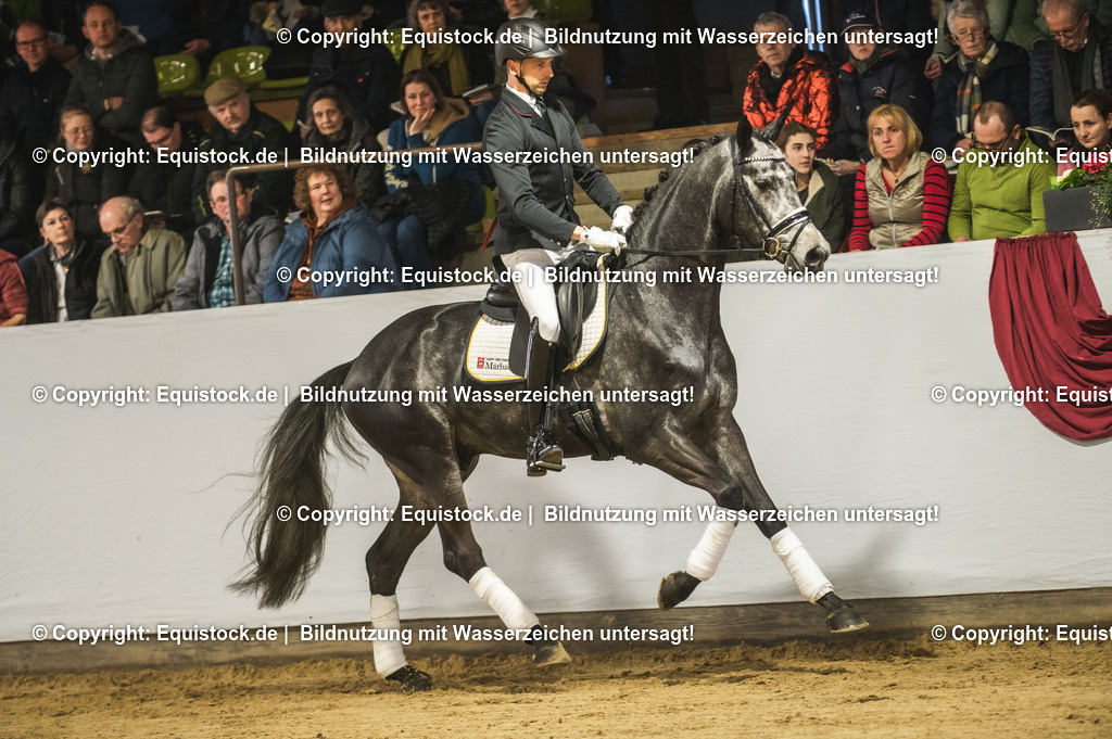 20240302_Hengstvorstellung_Marbach_TOMsPiC_0187 | equistock