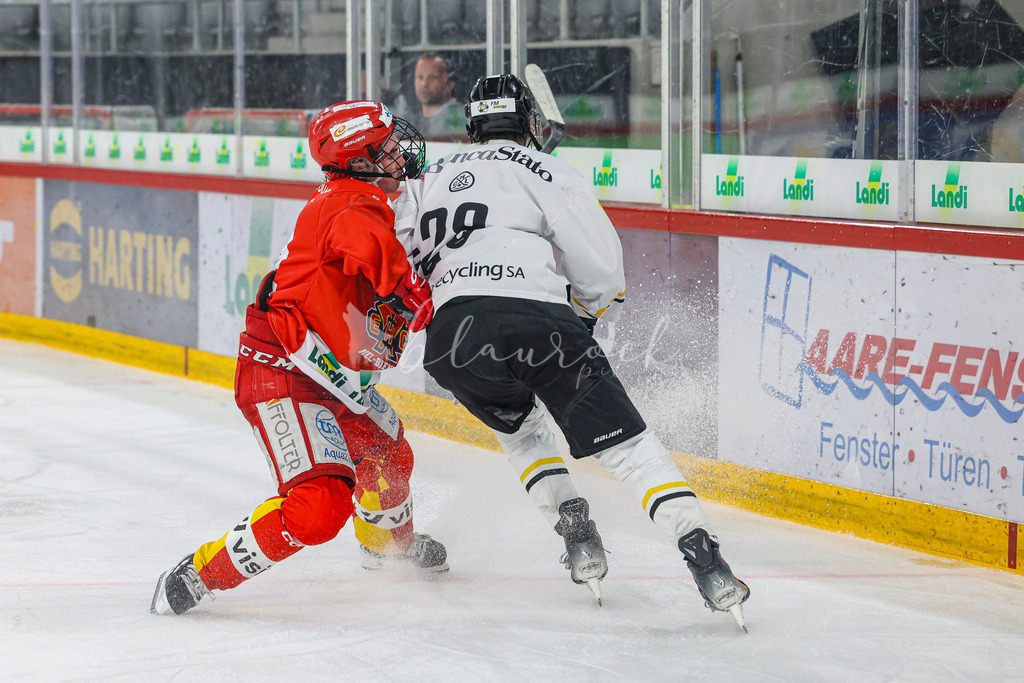 701A3000 | Sportbilder, Sportfotograf, Hochzeits- und Eventfotografin, Flugshows, Portraits und Tiershooting, Aviation, Downhill, Nationalleague, Swissleague, International