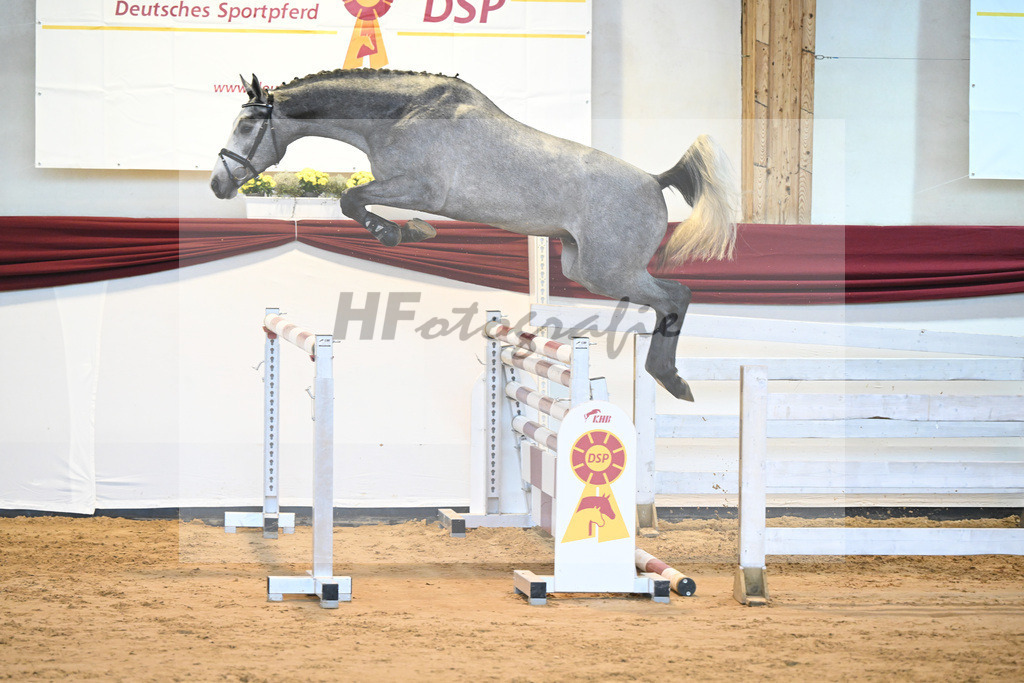 Kat-Nr. 54 v. Vingino_Stahl_66221454 | hf-fotografie - Realisiert mit Pictrs.com