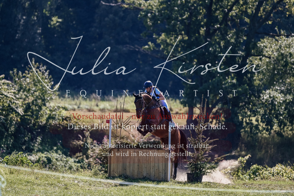 DSC_1969 | Pferde- und Turnierfotografie in Westsachsen. Pferdeportraits, Auftragszeichnungen und intuitive Kunst.