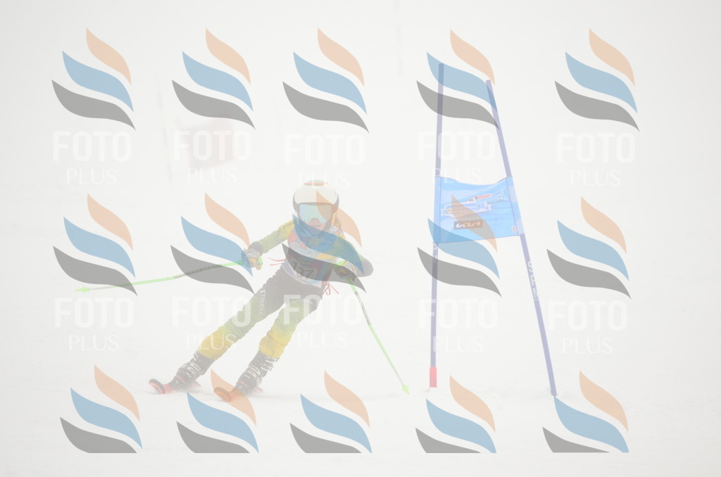 C1682 | holidayphoto