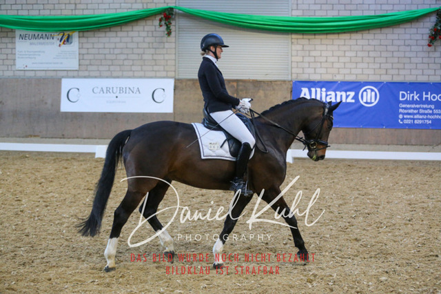 IMG_2860 | Turnierfotos kaufen im Webshop von Daniel Kuhl Photography – entdecke professionelle Reitsportfotos aus Turnieren & Events. Hochwertige Turnierbilder online bestellen & sichern. Jetzt Fotos von Reitsportturnieren kaufen!