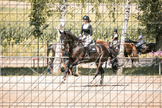 _W6A0526 | ronjaprokoschfotografie - Realisiert mit Pictrs.com