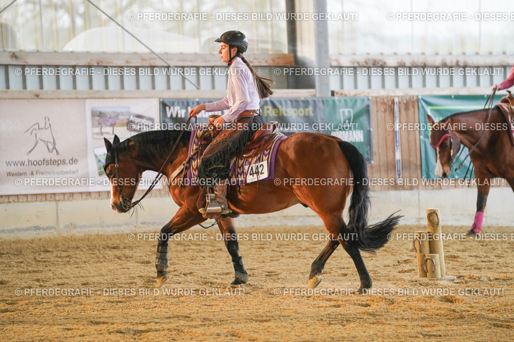 DSC08811 | Pferdegrafie